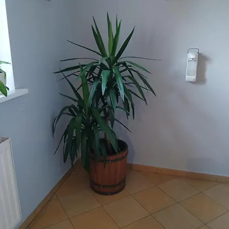 Dom Brama Mazur Oda ve Kahvaltı *